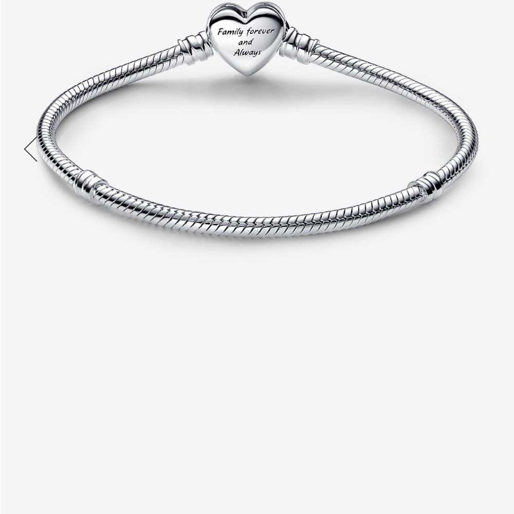 NEW Pandora Bracelet - Picture 3 of 4